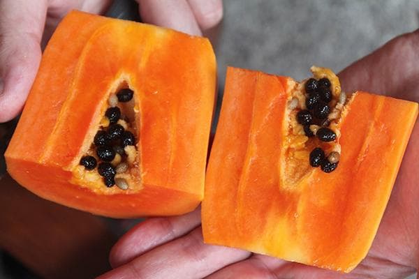 Papajos gabaliukai 
