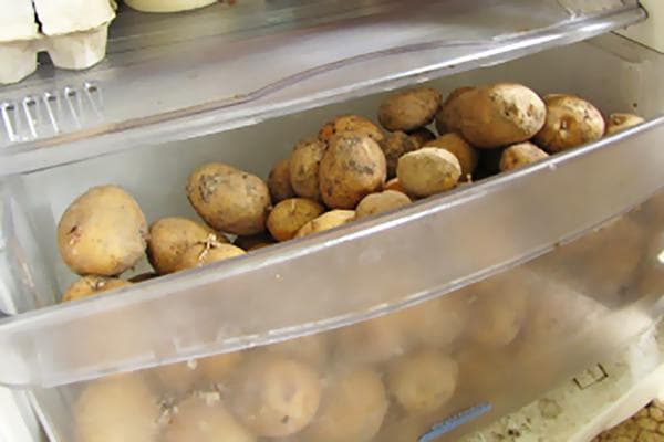 Bulvės šaldytuvo daržovių stalčiuje