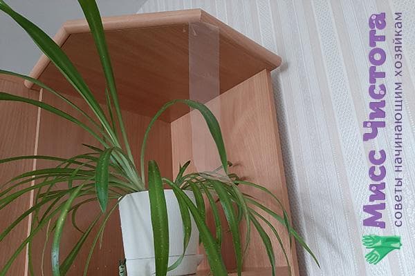 Juostelės juosta, priklijuota prie kampinės lentynos