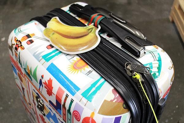 Plastikinis kaklaraištis ant kelioninio lagamino spynos