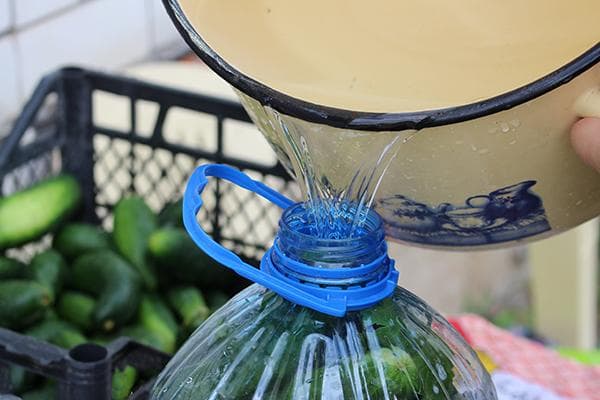 Agurkų rauginimas plastikiniame indelyje