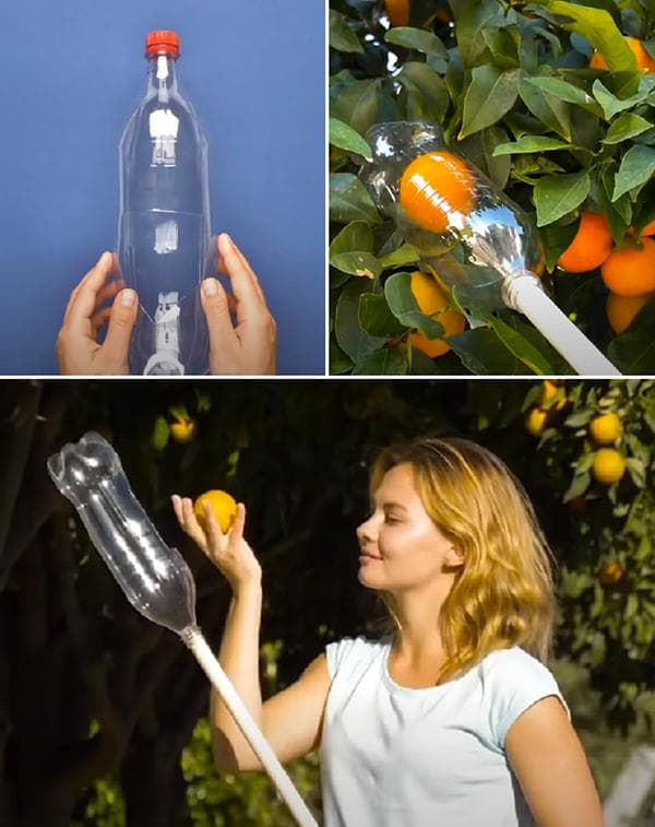 Vaisių rinktuvas pagamintas iš plastikinio butelio