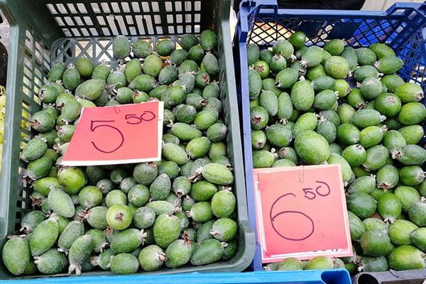 Parduodu feijoa turguje