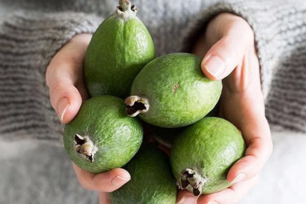 Dideli feijoa vaisiai