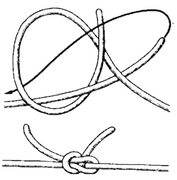 Audimo mazgo schema