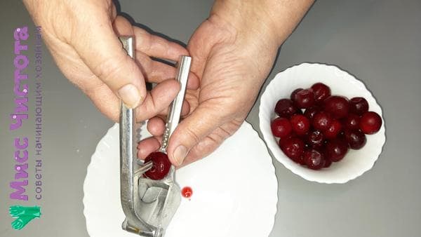 sėklų pašalinimas iš uogų naudojant česnako presą
