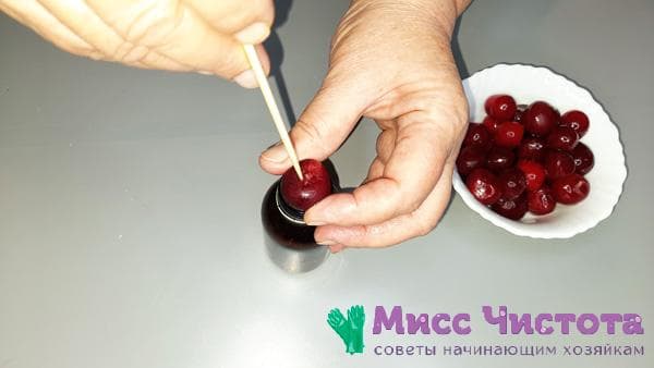 uogų sėklų pašalinimas naudojant pagaliuką