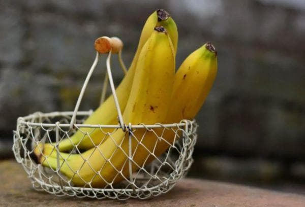 Bananai tinkle