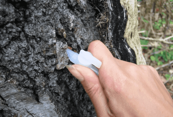 Plastikiniai šiaudeliai sultims rinkti