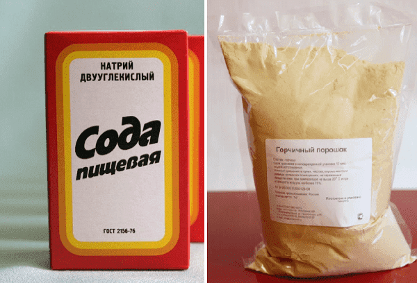 Garstyčios, soda