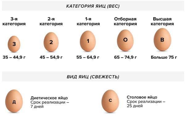 Stalo kiaušiniai, skirtumai