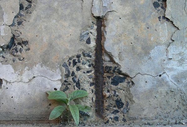Betono sunaikinimas