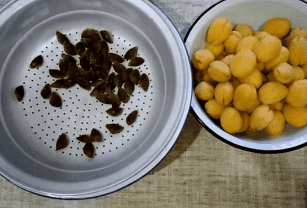 Abrikosų uogienė su kauliukais 4 
