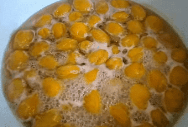 Abrikosų uogienė su kauliukais 7