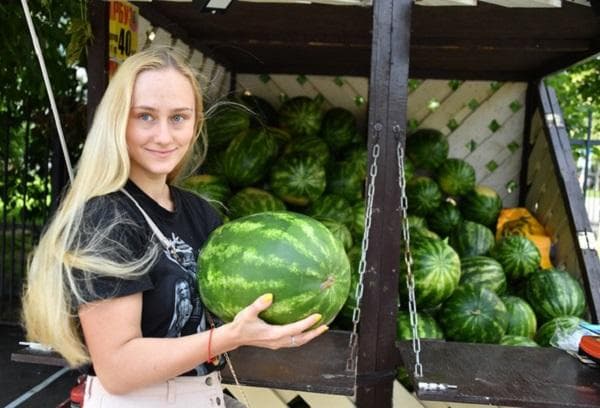 Arbūzo parinkimas ir pirkimas