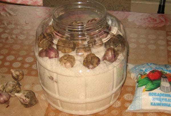 Česnakai indelyje su druska