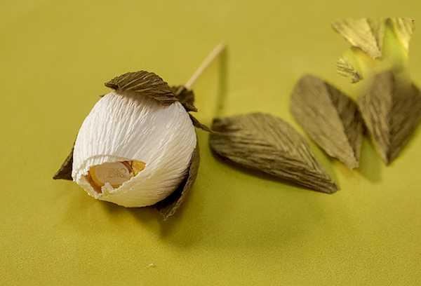 Lakoniška Ferrero Rocher 13 puokštė