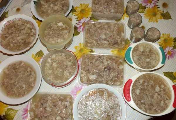 Želė mėsos paruošimas