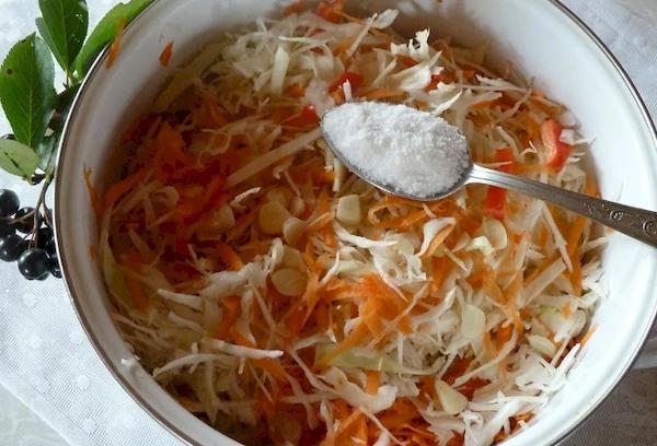 Rauginti kopūstai puode