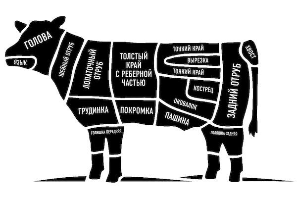 Karvės skerdenos diagramos dalys