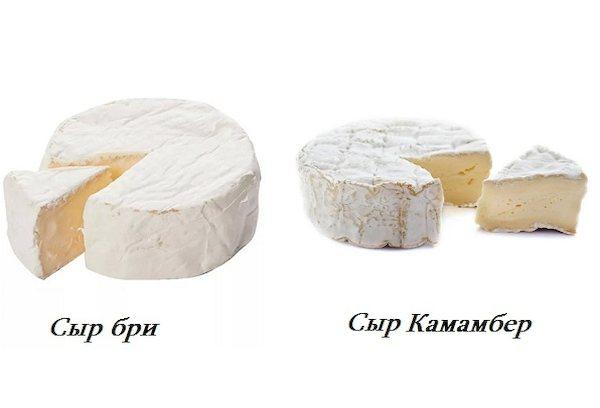 Brie ir Camembert sūris