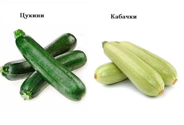 Cukinijos ir cukinijos