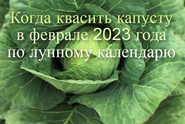 Kada raugti kopūstus 2023 m. vasarį pagal mėnulio kalendorių ir žvaigždynų padėtį, ką sako liaudies ženklai