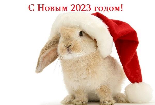 Laimingų Naujųjų 2023 metų