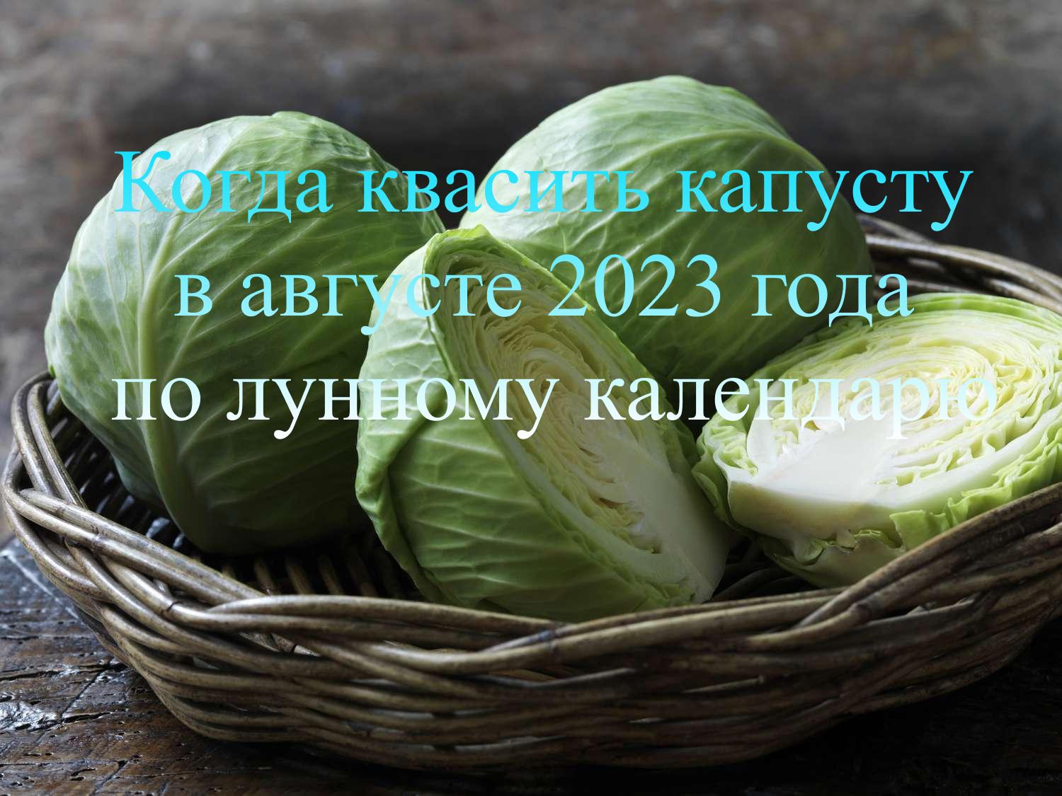 Kada pagal mėnulio kalendorių 2023 metų rugpjūtį rauginti kopūstus
