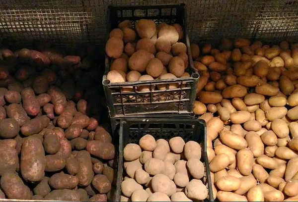 Dėžutės su bulvėmis